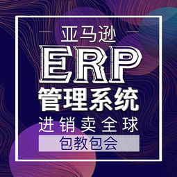 亚马逊跨境电商erp精品教学全套操作软件系统招商