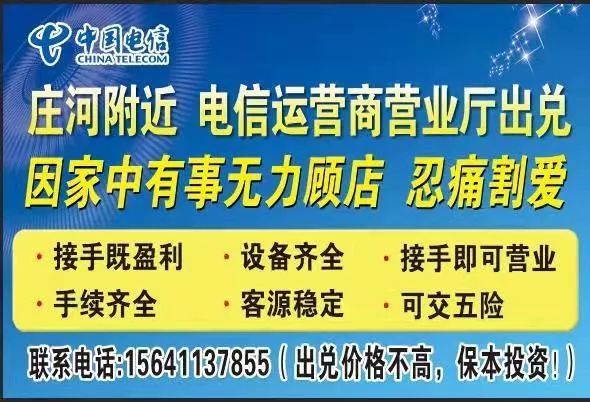 莊河最新招聘網(wǎng)，人才與機遇的橋梁