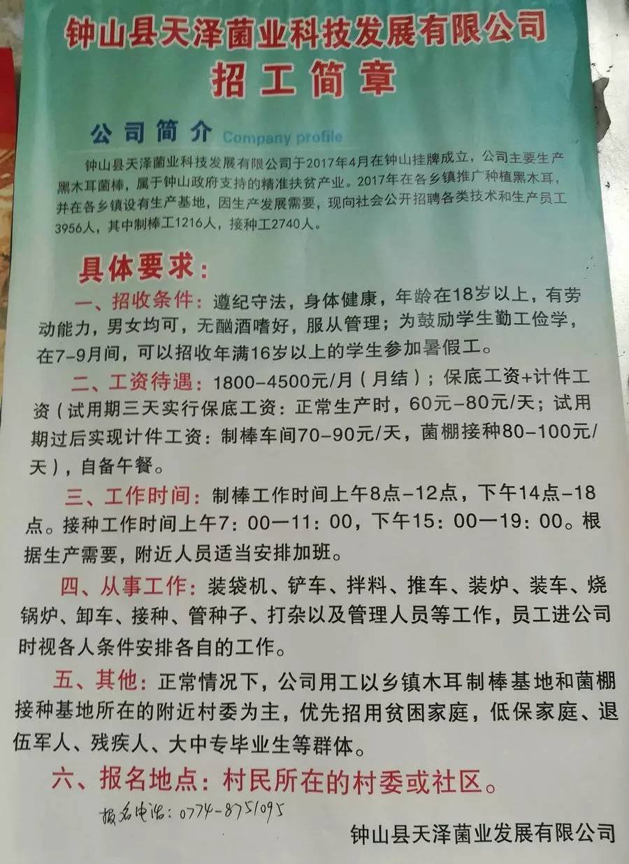 杜村最新招工信息及其社會(huì)影響分析