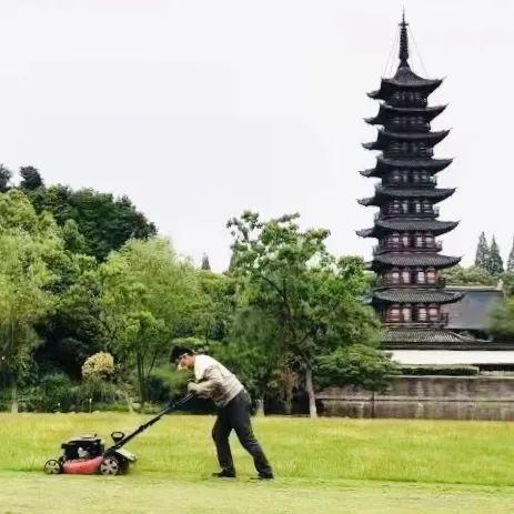 中山年票最新動(dòng)態(tài)，政策調(diào)整及未來(lái)展望