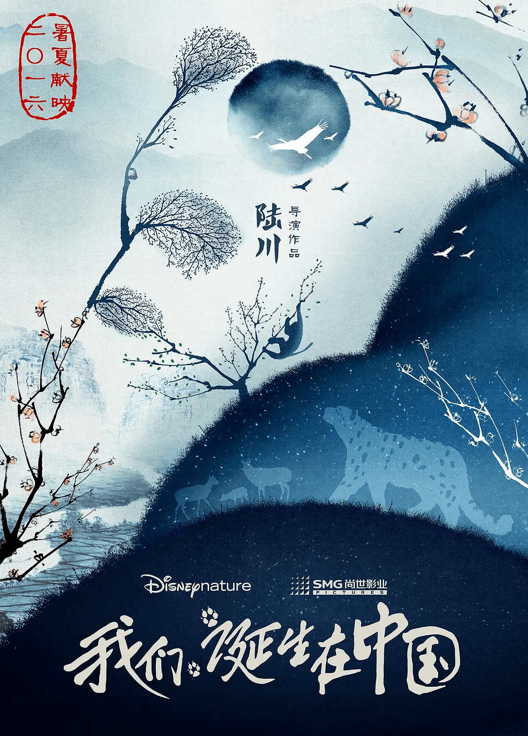 中國(guó)魅力，紀(jì)錄片我們誕生在中國(guó)下載